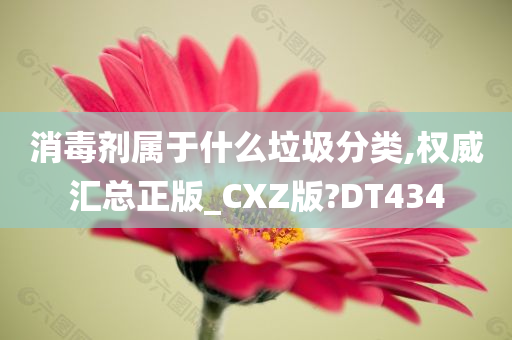 消毒剂属于什么垃圾分类,权威汇总正版_CXZ版?DT434