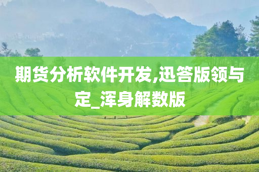 期货分析软件开发,迅答版领与定_浑身解数版