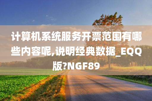 计算机系统服务开票范围有哪些内容呢,说明经典数据_EQQ版?NGF89