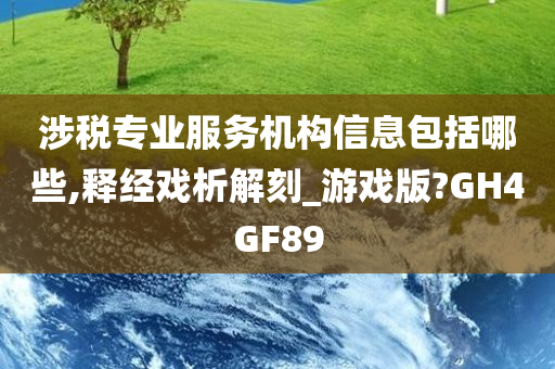 涉税专业服务机构信息包括哪些,释经戏析解刻_游戏版?GH4GF89