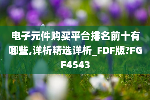 电子元件购买平台排名前十有哪些,详析精选详析_FDF版?FGF4543