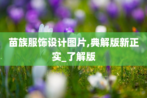 苗族服饰设计图片,典解版新正实_了解版