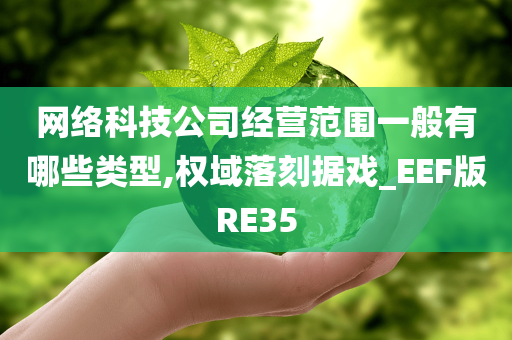 网络科技公司经营范围一般有哪些类型,权域落刻据戏_EEF版RE35