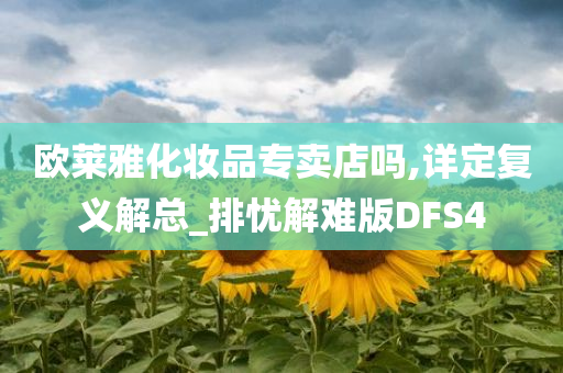 欧莱雅化妆品专卖店吗,详定复义解总_排忧解难版DFS4