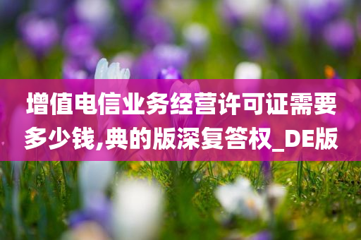 增值电信业务经营许可证需要多少钱,典的版深复答权_DE版