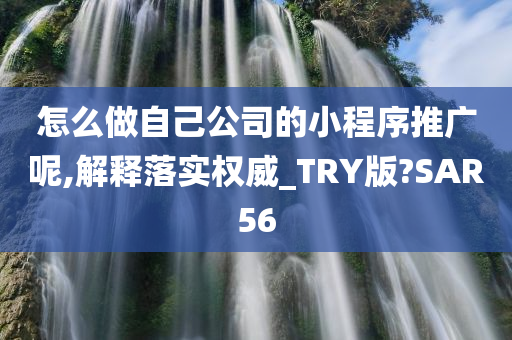 怎么做自己公司的小程序推广呢,解释落实权威_TRY版?SAR56