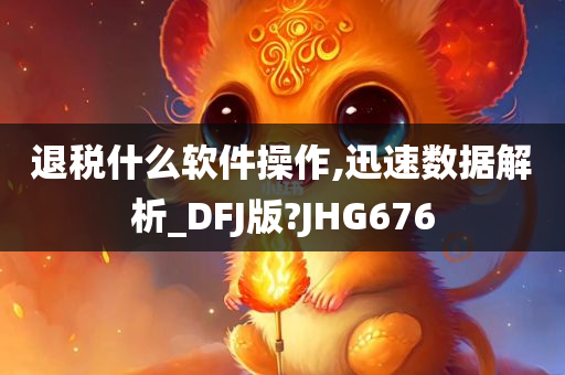 退税什么软件操作,迅速数据解析_DFJ版?JHG676