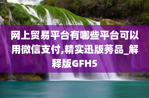 网上贸易平台有哪些平台可以用微信支付,精实迅版莠品_解释版GFH5