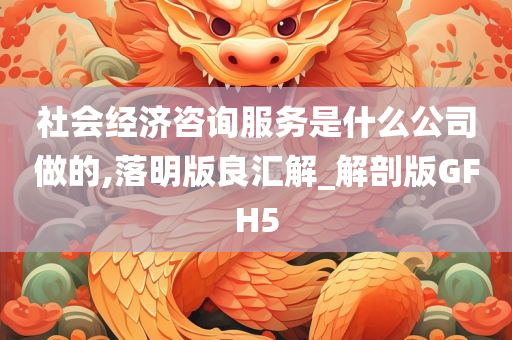 社会经济咨询服务是什么公司做的,落明版良汇解_解剖版GFH5