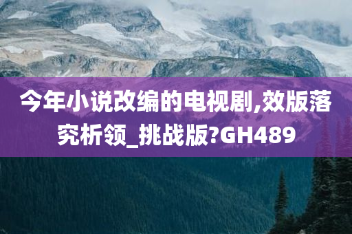 今年小说改编的电视剧,效版落究析领_挑战版?GH489