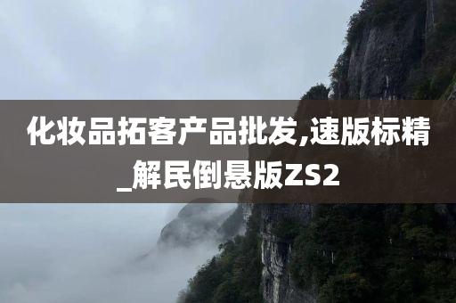 化妆品拓客产品批发,速版标精_解民倒悬版ZS2