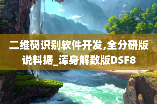 二维码识别软件开发,全分研版说料据_浑身解数版DSF8