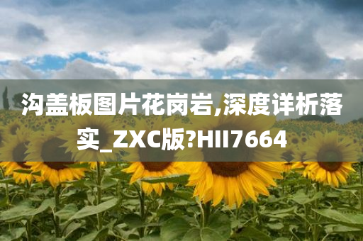 沟盖板图片花岗岩,深度详析落实_ZXC版?HII7664