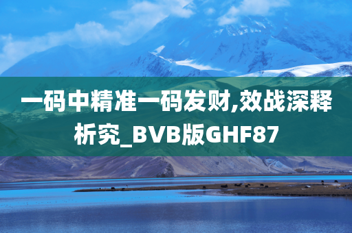 一码中精准一码发财,效战深释析究_BVB版GHF87