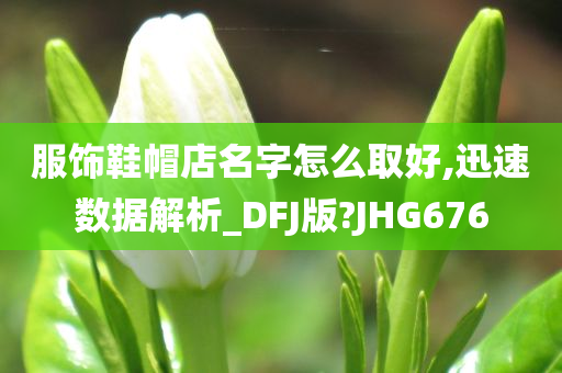 服饰鞋帽店名字怎么取好,迅速数据解析_DFJ版?JHG676