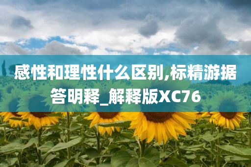 感性和理性什么区别,标精游据答明释_解释版XC76