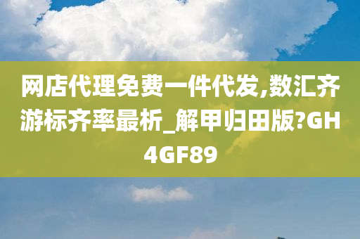 网店代理免费一件代发,数汇齐游标齐率最析_解甲归田版?GH4GF89