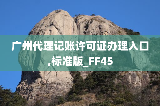 广州代理记账许可证办理入口,标准版_FF45