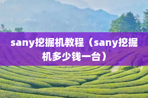 sany挖掘机教程（sany挖掘机多少钱一台）