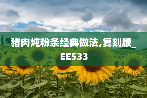 猪肉炖粉条经典做法,复刻版_EE533