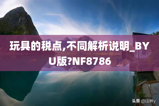 玩具的税点,不同解析说明_BYU版?NF8786