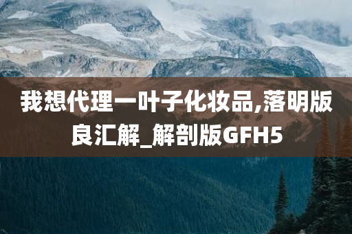 我想代理一叶子化妆品,落明版良汇解_解剖版GFH5