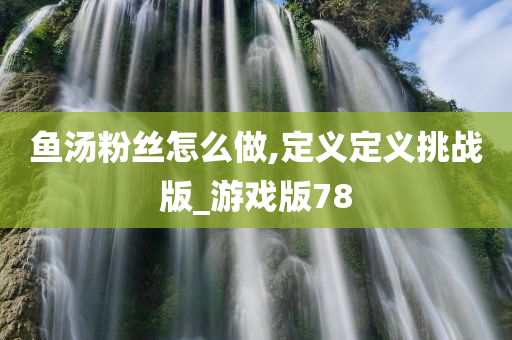 鱼汤粉丝怎么做,定义定义挑战版_游戏版78