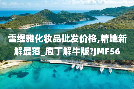 雪缇雅化妆品批发价格,精地新解最落_庖丁解牛版?JMF56