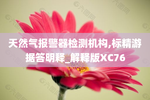 天然气报警器检测机构,标精游据答明释_解释版XC76