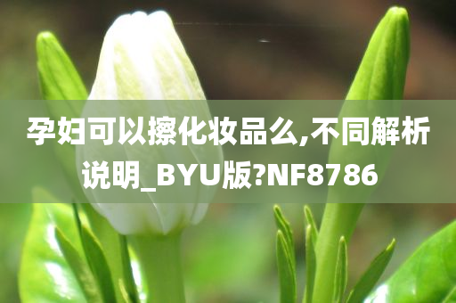 孕妇可以擦化妆品么,不同解析说明_BYU版?NF8786