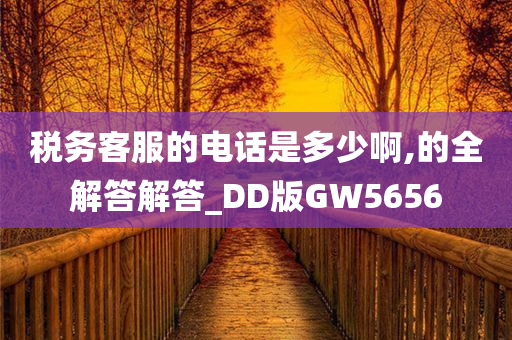 税务客服的电话是多少啊,的全解答解答_DD版GW5656