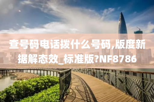 查号码电话拨什么号码,版度新据解态效_标准版?NF8786