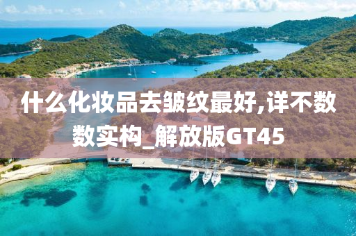 什么化妆品去皱纹最好,详不数数实构_解放版GT45