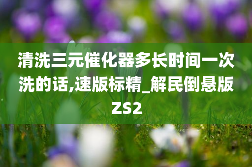 清洗三元催化器多长时间一次洗的话,速版标精_解民倒悬版ZS2