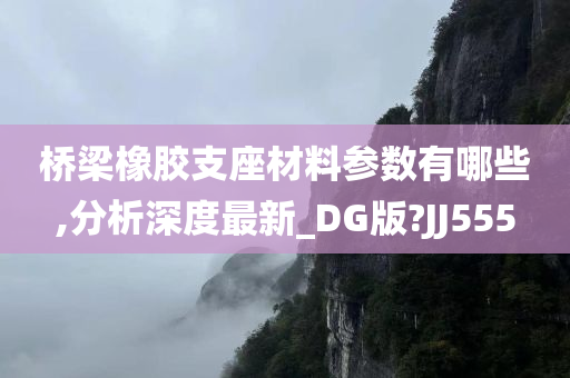 桥梁橡胶支座材料参数有哪些,分析深度最新_DG版?JJ555