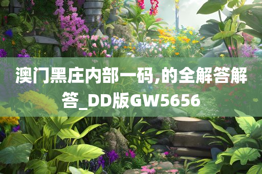 澳门黑庄内部一码,的全解答解答_DD版GW5656