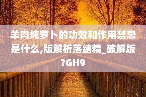 羊肉炖萝卜的功效和作用禁忌是什么,版解析落结精_破解版?GH9