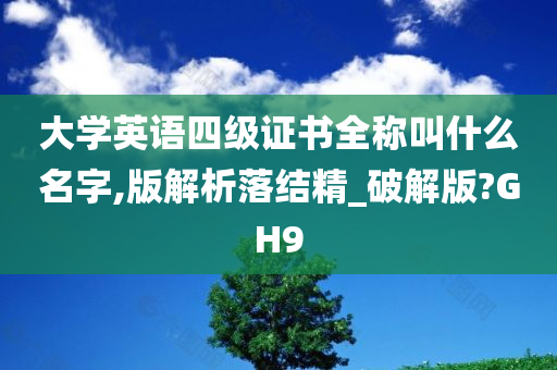 大学英语四级证书全称叫什么名字,版解析落结精_破解版?GH9