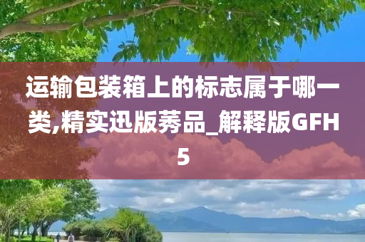 运输包装箱上的标志属于哪一类,精实迅版莠品_解释版GFH5