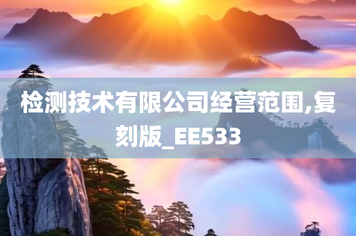 检测技术有限公司经营范围,复刻版_EE533