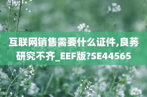 互联网销售需要什么证件,良莠研究不齐_EEF版?SE44565