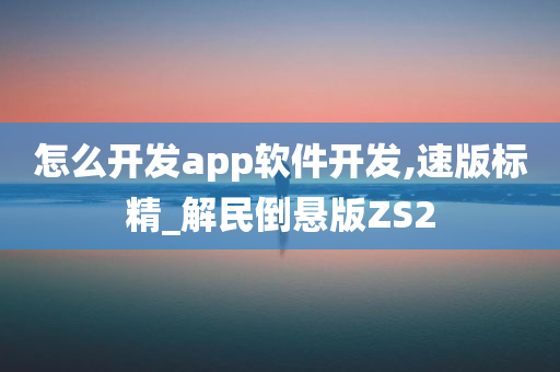 怎么开发app软件开发,速版标精_解民倒悬版ZS2