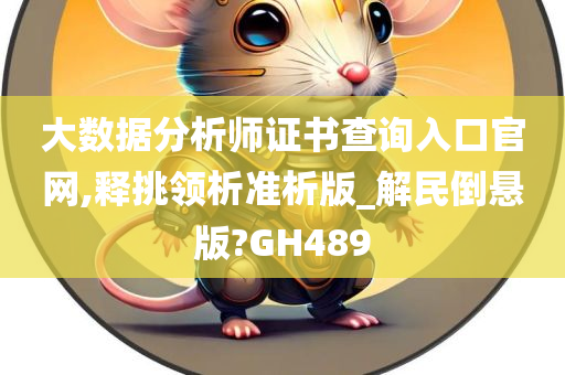 大数据分析师证书查询入口官网,释挑领析准析版_解民倒悬版?GH489