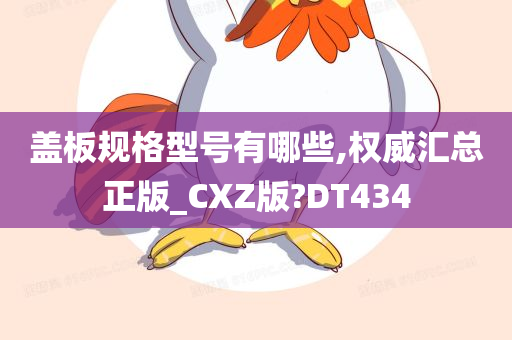 盖板规格型号有哪些,权威汇总正版_CXZ版?DT434