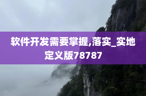 软件开发需要掌握,落实_实地定义版78787