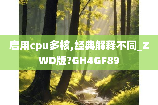 启用cpu多核,经典解释不同_ZWD版?GH4GF89