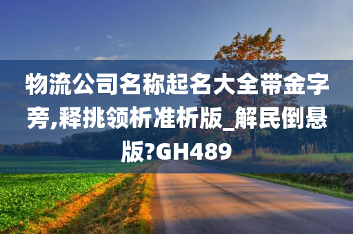 物流公司名称起名大全带金字旁,释挑领析准析版_解民倒悬版?GH489