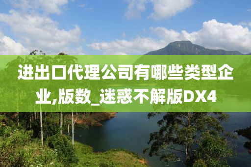 进出口代理公司有哪些类型企业,版数_迷惑不解版DX4