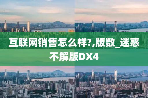 互联网销售怎么样?,版数_迷惑不解版DX4