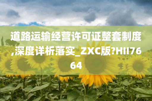 道路运输经营许可证整套制度,深度详析落实_ZXC版?HII7664